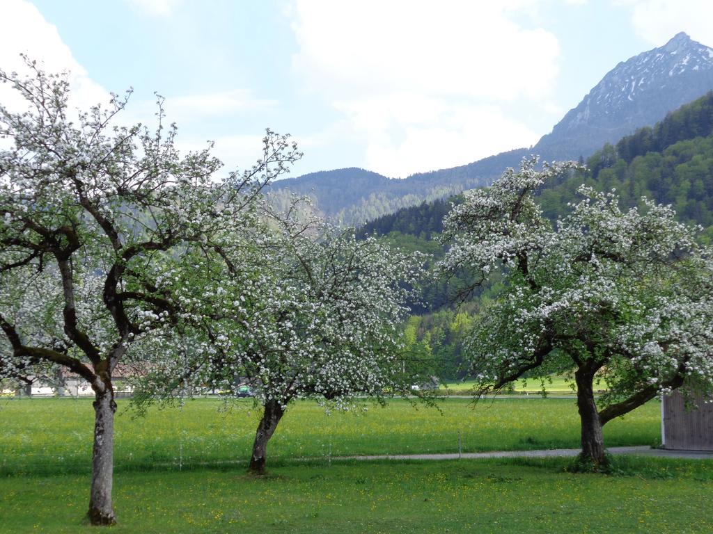 K3 - Strobl